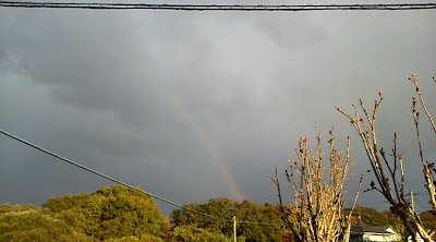 2013-11-19 07.52.40.jpg