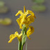 P1050046