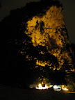 IMG_1164.JPG