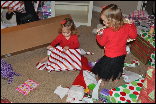 DSC_0460 DSC_0460