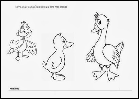 Copia (3) de Ficha21 Copia (3) de Ficha21