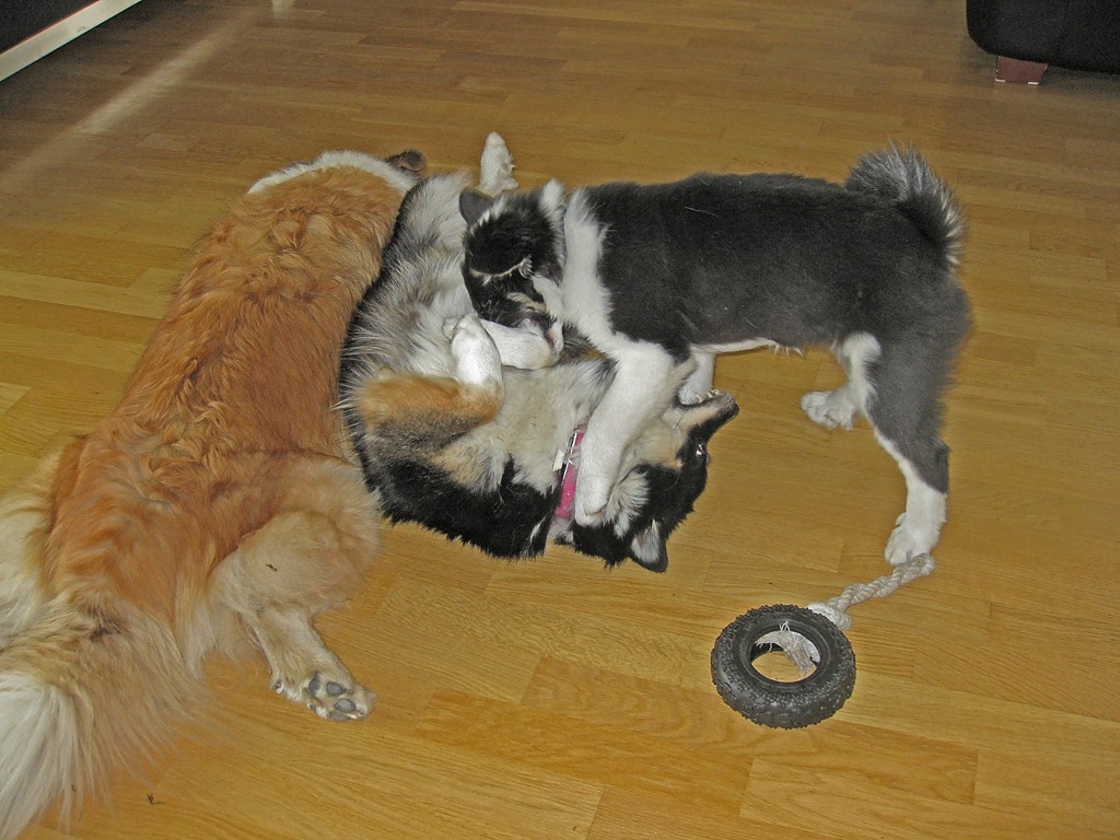 [Glenna%2520igjen_140711_0520%255B4%255D.jpg]