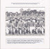 Thumbnail - Shamrock Senior Teams