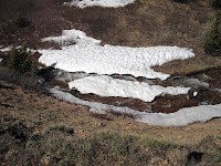 IMGP2652.JPG Photo