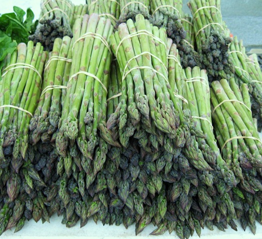[asparagus%2520woodstock%2520farm%2520festival%255B4%255D.jpg]