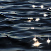 DSC_8259_dr copy copy sm1.jpg