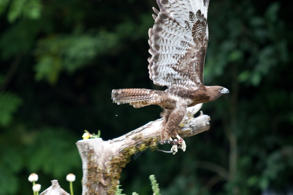 [20120818-IMG_90164.jpg]