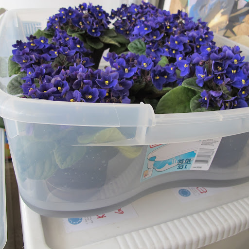 Pay attention to the water level in the container.