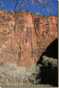 IMG_5202 IMG_5202
