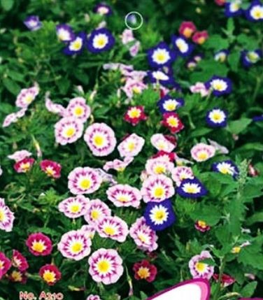[Capture%255B299%255D.jpg]