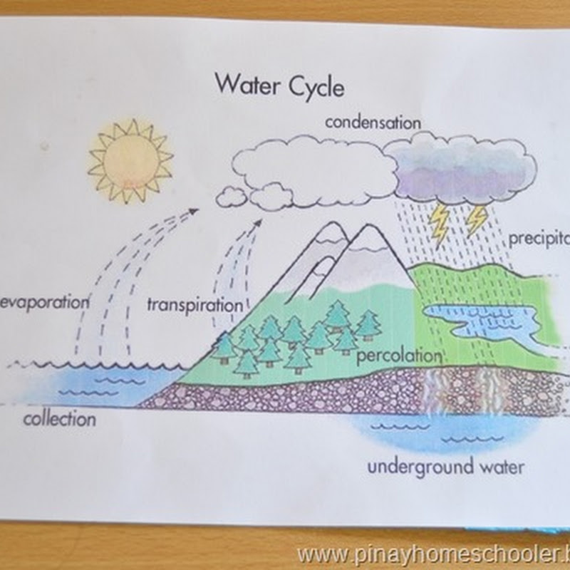 Water Cycle | The Pinay Homeschooler