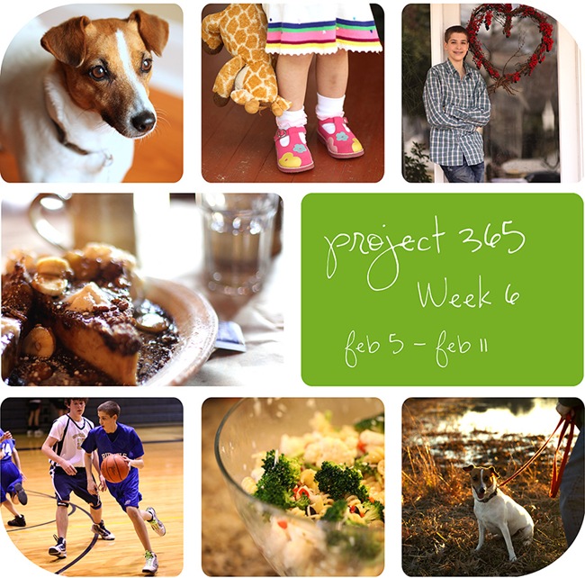 4week6w 4week6w
