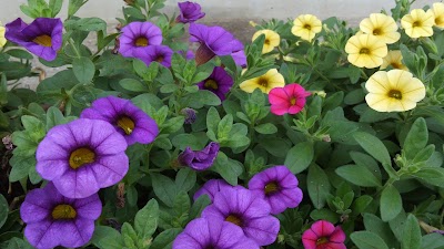 2014-07-15 08.30.57.jpg