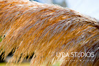 Love the texture Love the texture