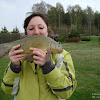 dsc02243.jpg