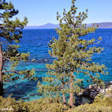 Caribe de água doce - Lake Tahoe, California, EUA