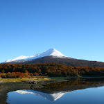 IMG_8170.JPG