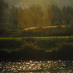 DSC_0031.JPG