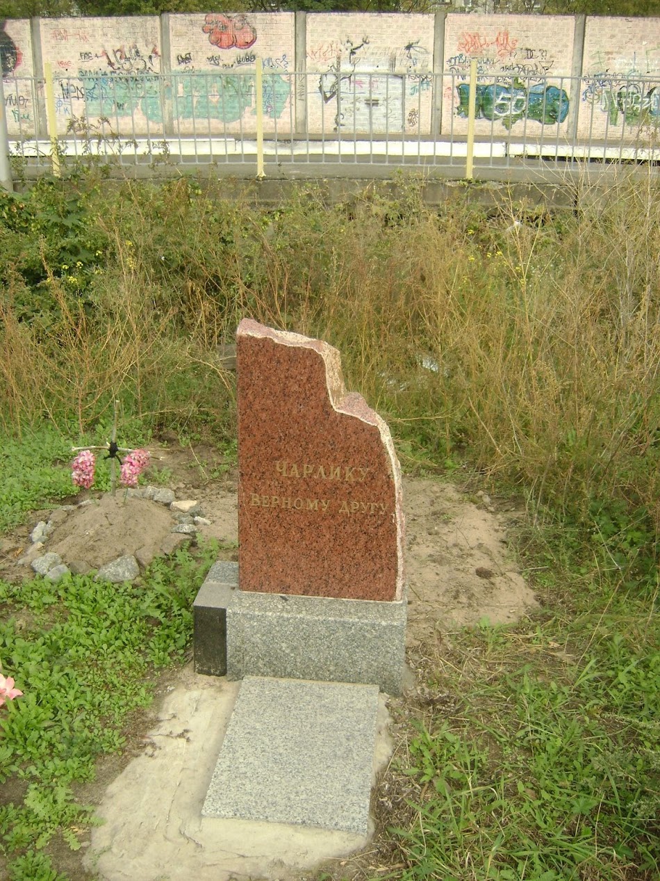 DSC04140.JPG