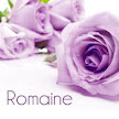 Purple Roses 6 Name place