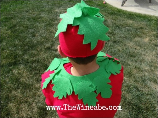 tomato leaves costume DIY