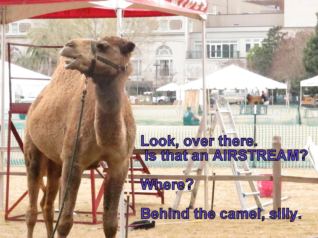 [camel-and-airstream.4.jpg]