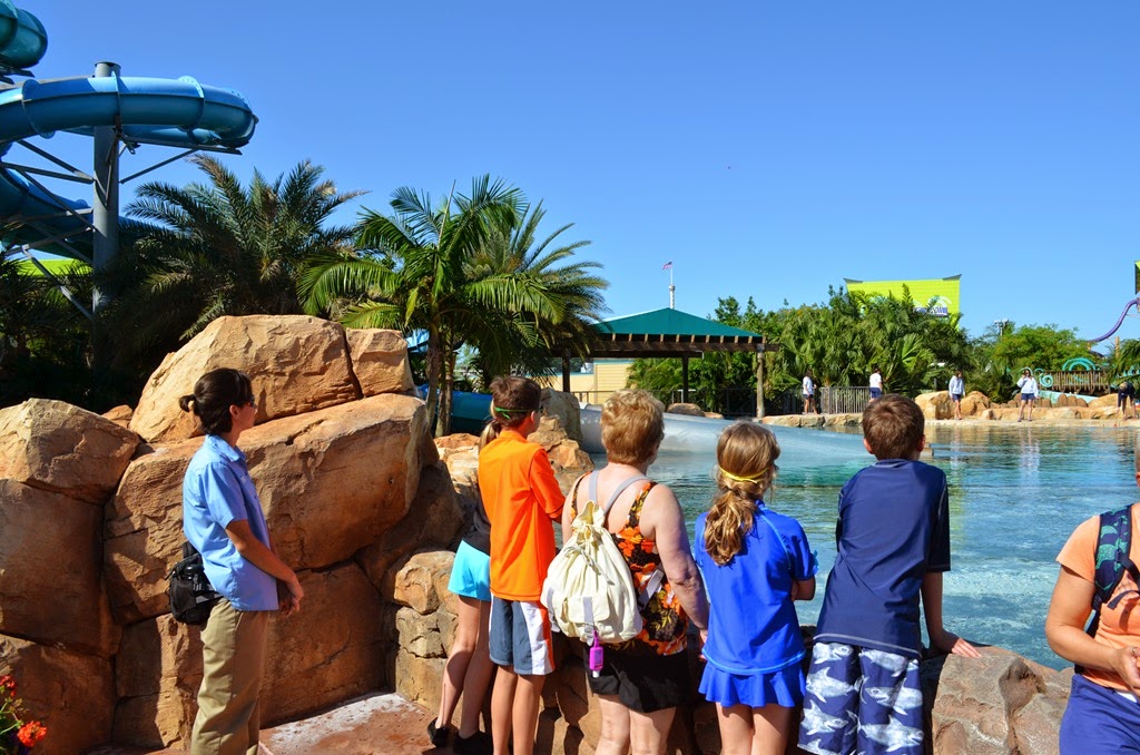 [DSC_7331%255B4%255D.jpg]