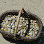 P1000827.JPG