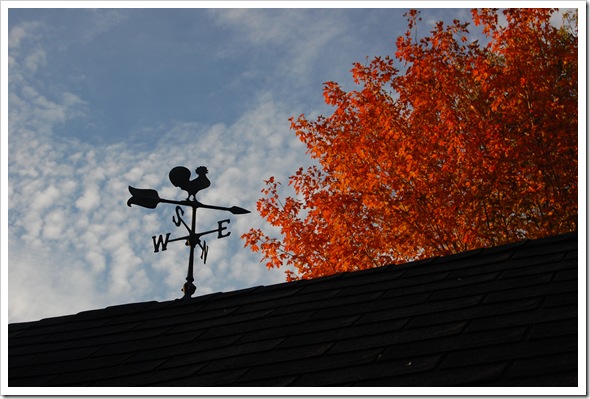 weathervane