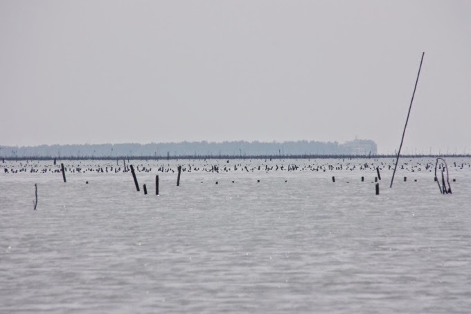 2014_0913_105630 2014_0913_105630