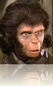 Zira_02 Zira_02