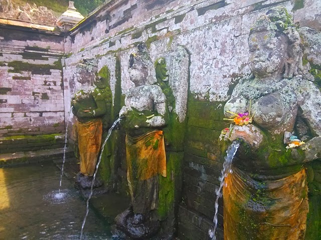 [IMG_20140216_1033333.jpg]