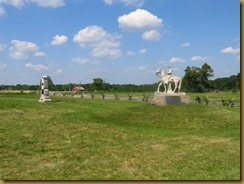 IMG_1822 IMG_1822