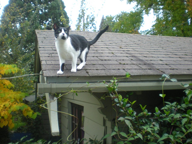 [DSCN98643.jpg]