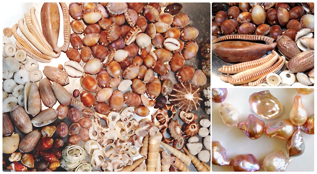 [shells%255B4%255D.jpg]