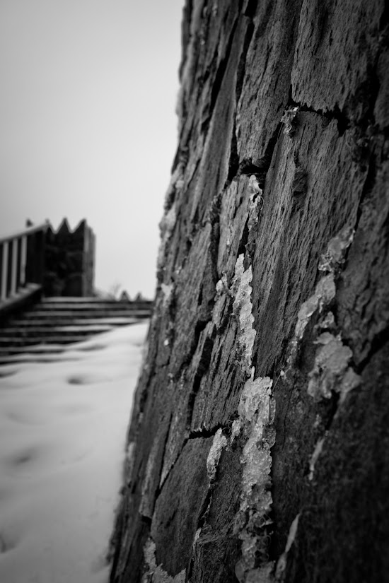_MG_5269.jpg
