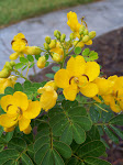 100_5727.JPG