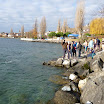 2011-12-11_012.JPG
