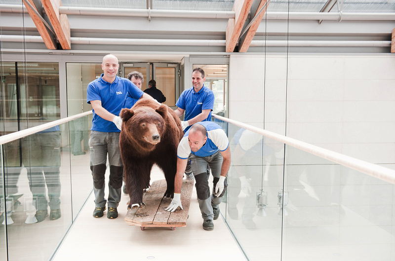 Schermata 2013 07 23 alle 23 55 25