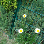 DSC05823.JPG