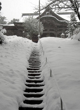 DSC02990 DSC02990