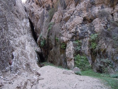 DSCN4035.jpg