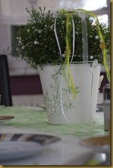 IMG_9780 IMG_9780