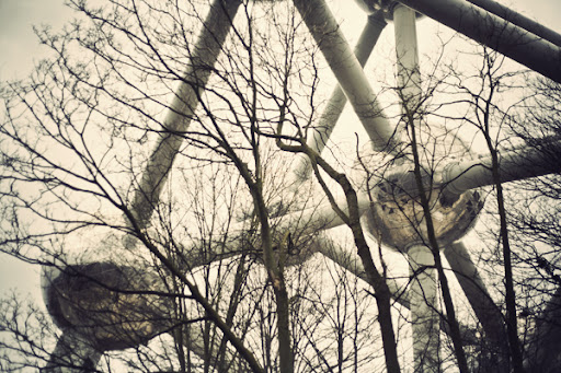 20120304_3379-2012-03-5-08-10.jpg