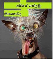 Facebook Photo Comments