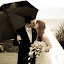 SEAMILL HYDRO-4.jpg SEAMILL HYDRO-4.jpg