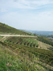 Italie - Entre Alessandria et Carmagnola