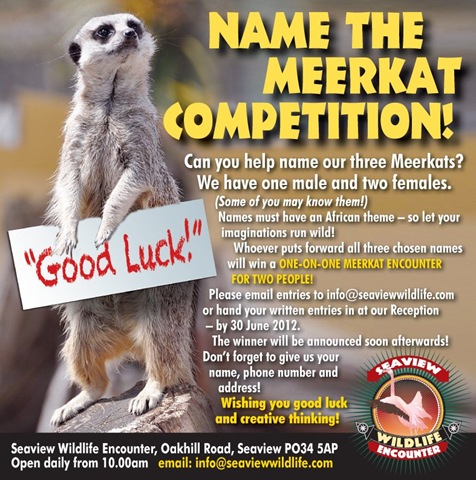 [SWLE%2520Meerkat%2520Blog%2520ad%255B4%255D.jpg]