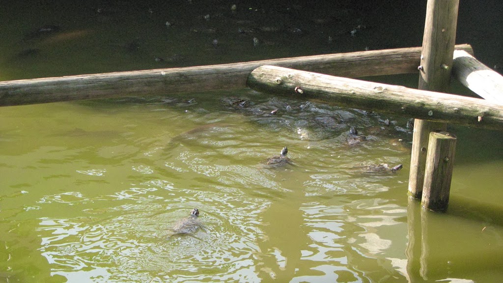 [IMG_4038%255B3%255D.jpg]