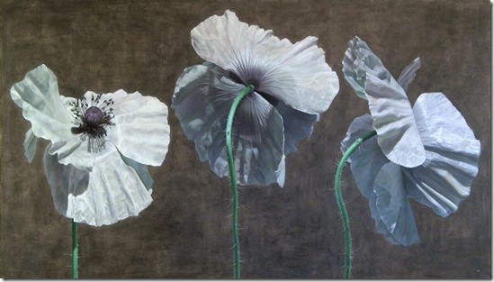 poppy01 poppy01